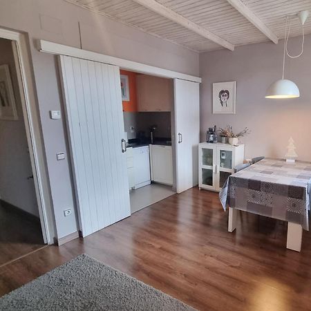 Apartment Sant Francesc Olot Bagian luar foto