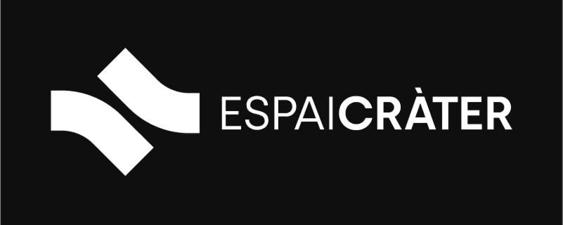 Apartment Sant Francesc Olot Bagian luar foto