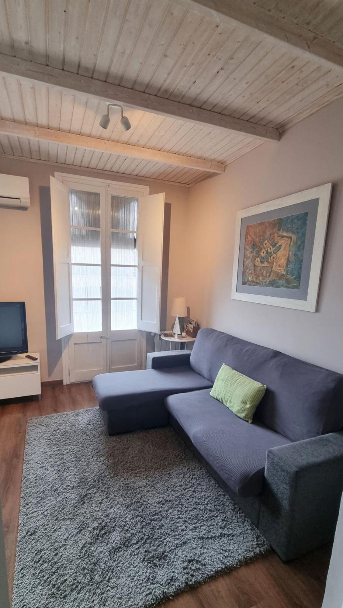 Apartment Sant Francesc Olot Bagian luar foto